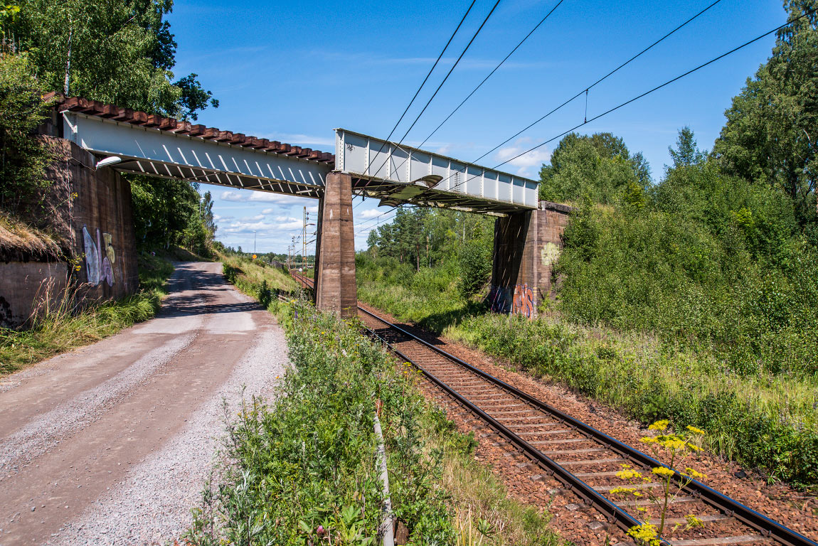 Bild: Järnvägen till Svanskog passerar Bergslagsbanan på en bro strax söder om stationen. Foto 2017