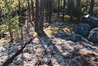 Bild: Rester av smalspår nära stenbrottet i Gylsboda